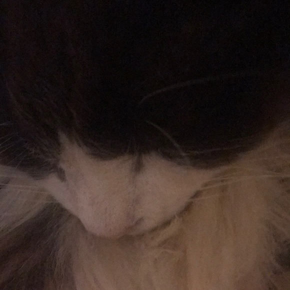 Meet your Posher, Mike - Picture 1 of 1